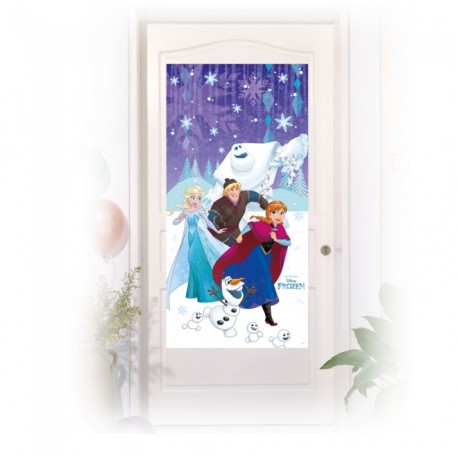 Frozen Snowflakes Door Poster