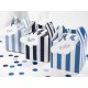 Blue Stripes Treat Boxes Set with labels