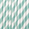Mint Striped Paper Straws