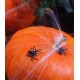 Set of 10 black plastic Spiders for Halloween decoration or gadget