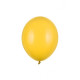 Palloncini Giallo Miele 5pz