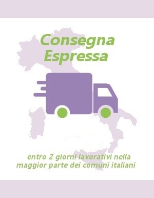 Consegna